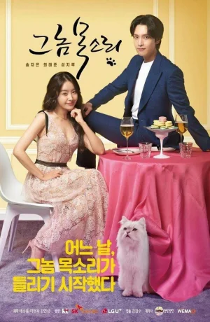 Дорама Его голос онлайн